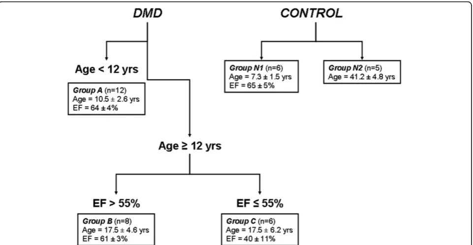 Figure 1 Categorization of the study population. Stratification of Duchenne muscular dystrophy (DMD) patients based on age and ejectionfraction (EF)