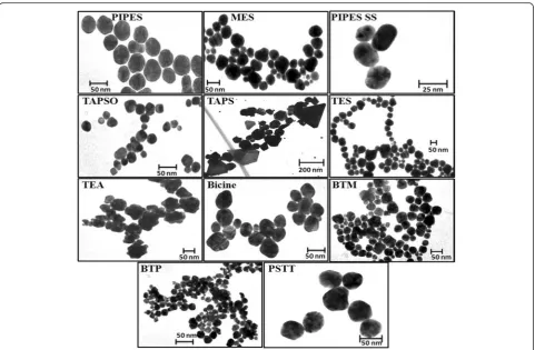 Fig. 4 TEM images of Au NPs formed using different buffer solutions (images are not on the same size scale)