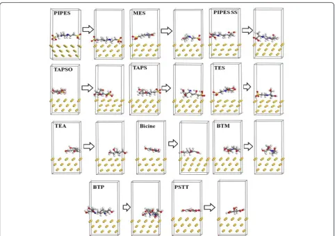 Fig. 7 Cell viability of Au NPs in HEK 294 cells