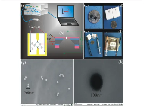 Fig. 1 Schematic representation of Si3N4 chips and SEM. a electrical measurement setup
