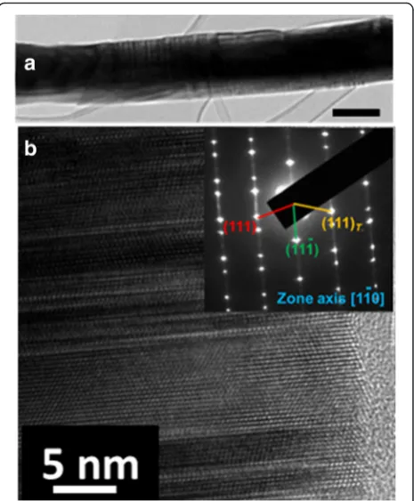 Fig. 1 a Bright field TEM image of annealed GaAs/GaAsSbN/GaAscore-multi-shell nanowires (scale bar: 200 nm)