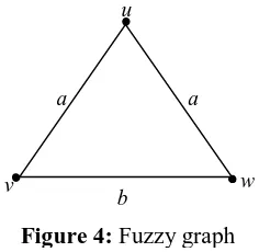 Figure 4: Fuzzy graph 