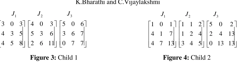 Figure 5: Mutation Child 1                                       Figure 6: Mutation Child 2 