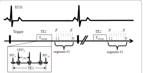 Figure 1 Diagram of T2prep sequence for the measurement of T2prep module followed by a N-line of gradient-echo data acquisition using a flip angle of β