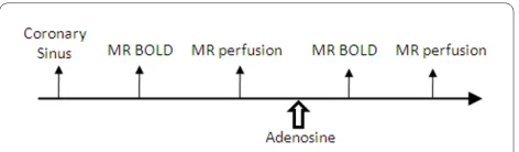 Table 2: T2 phantoms and T2 measurement results with T2prep and SE sequences