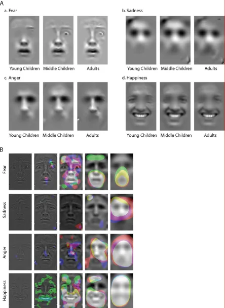 Figure 3. A. Effective faces depicting regions significantly associated (p<0.05, corrected) with 
