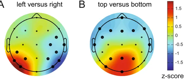 Figure 5. Activation patterns associated with peak decoding accuracy (240–250 ms) in Experiment 1