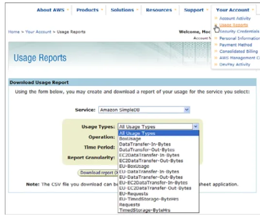 Figure 7-1AWS usage report page: available usage types