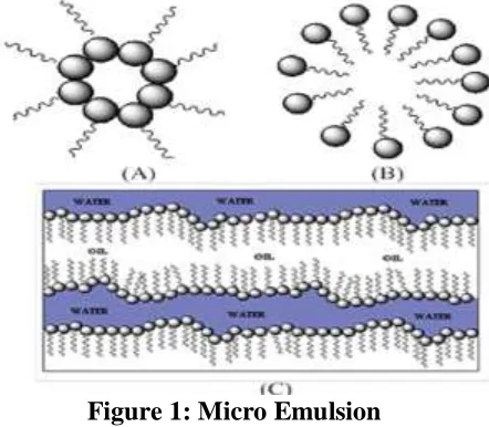 Figure 1: Micro Emulsion 