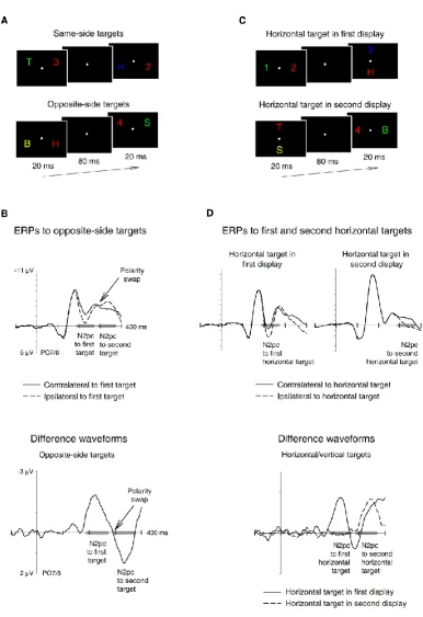 Figure 1. Top panels: Schematic illustrations of the time course of stimulus events in the bilateral (A) and horizontal/vertical (C) presentation conditions employed by Eimer and Grubert (2014) and in the current experiments