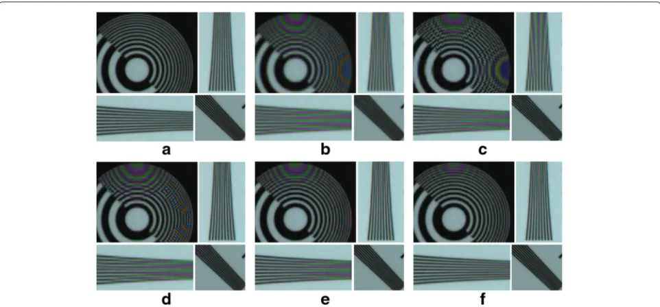 Fig. 8 Comparison of the various interpolation algorithms for the long exposed W: a original image, b CM1, c CM2, d CM3, e CM4, and f PM