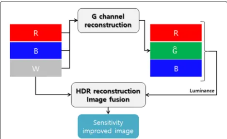 Fig. 2 Sensitivity comparison when an image is captured by using a Bayer CFA and b RWB CFA