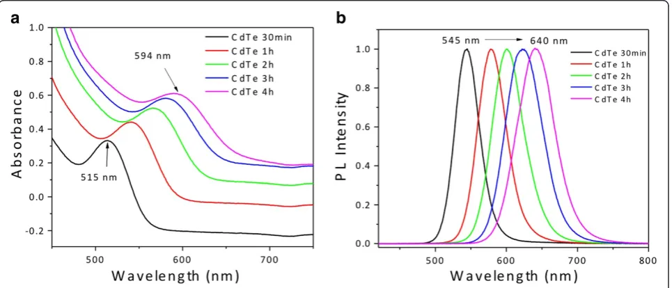 Figure 3 Temporal evolution. (a) The UV-vis absorption and (b) the PL emission spectra of GSH-capped CdTe QDs (excitation wavelength355 nm).