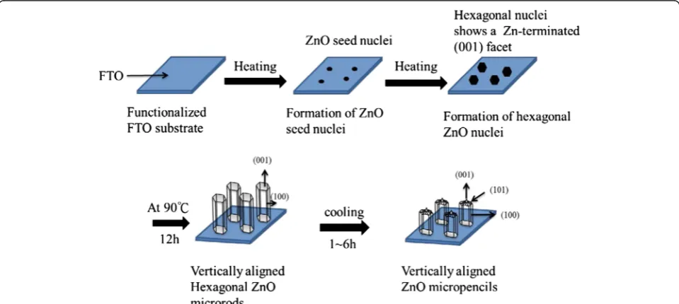 Fig. 6 Schematic illustration of the growth and etching mechanism for the formation of ZnO microrods with a sharp tip on the top end after anappropriate retention time