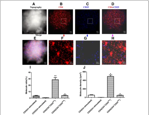 Fig. 2 Simultaneous nanoscale dual-color imaging of CD4 and CD25 on the surface of CD4+CD25low T cells through using NSOM/QD system