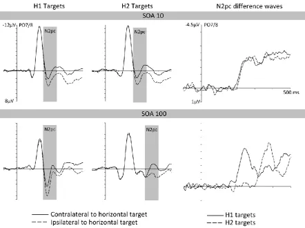 Figure 2. N2pc components elicited by target objects in the SOA 10 and SOA 100 conditions 