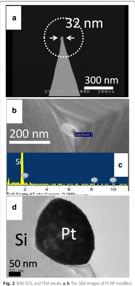 Fig. 2 SEM, EDS, and TEM results. a, b The SEM images of Pt NP-modifiedsilicon tip apex