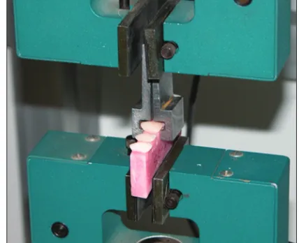 Figure 1: Silicone positioning device