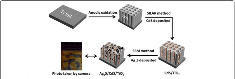 Fig. 1 The synthesis process of Ag2S/CdS/TNTs by SSM