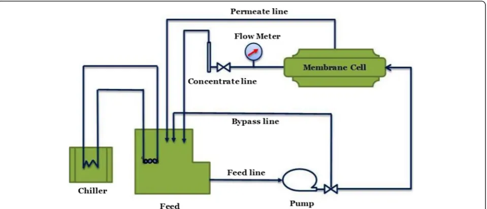 Fig. 2 a EDX and b SEM of Ag2O nanoparticles