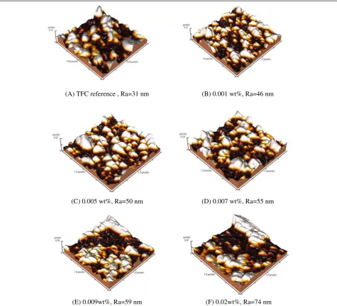 Fig. 6 AFM images of membranes modified with silver oxide nanoparticles. a TFC reference, Ra = 31 nm