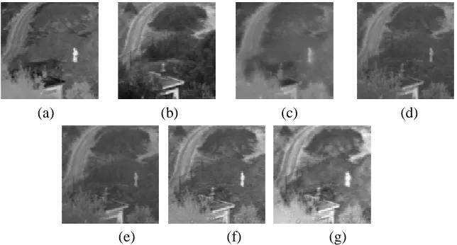 Figure 4: Image database: infrared image (a) and visible image (b), fusion result by LP transform: (c), fusion result by literature [4] algorithm: (d), fusion result by literature [6] algorithm: (e), fusion result by NSCT algorithm: (d), fusion result by t