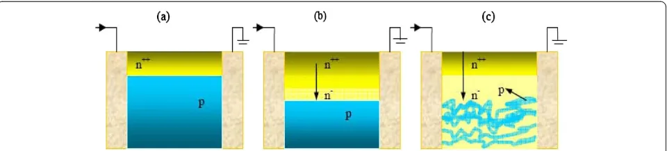 Figure 4 Schematic of the possible conduction channels in Mg-doped GaInN. (in all the mechanisms the surface layer is n-type degenerate)(a) Bulk layer is p-type