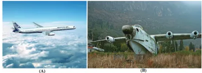 Fig. 1. An example of airplane recognition using MIL: (A) the backgroundof “sky” provides an important context for the recognition of “airplane”,(B) the background of “mountain” is not a useful cue for the recognitionof “airplane”