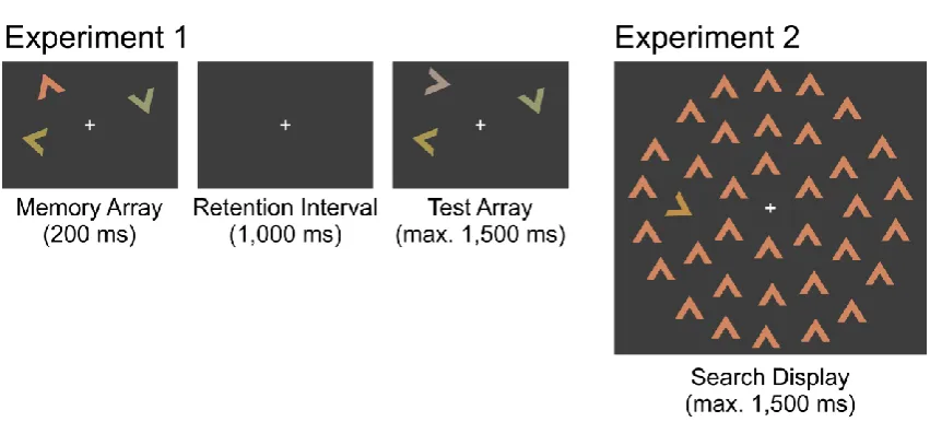 Figure 1. Illustration of the display sequence in Experiment 1 and the search display in 