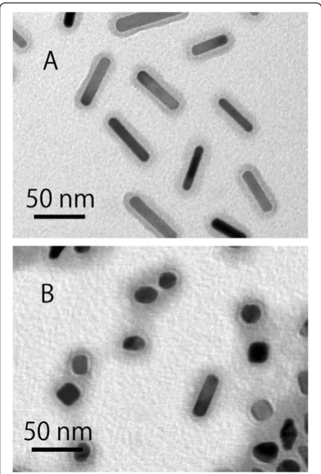 Figure 1 Absorption spectra of PEG-modified gold nanorodstreated without (A) and with (B) near-infrared pulsed laserlight.
