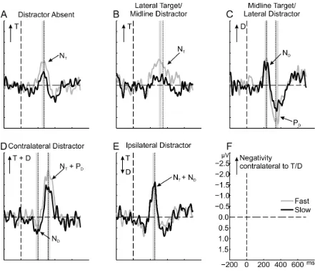 Figure 4. ERPs on trials with fast and slow responses (upper and lower tertiles). For details, see 