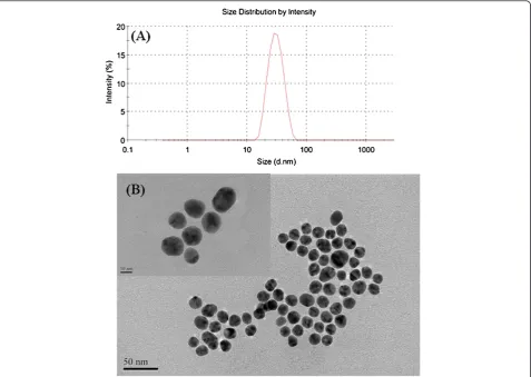 Figure 1 Sizes of the prepared AuNPs. (A) The DLS size distribution and (B) TEM images of the AuNPs.