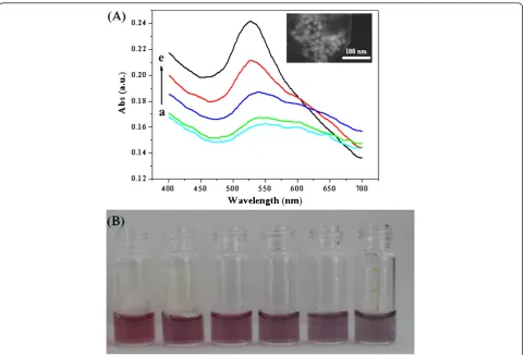 Figure 2 UV-Vis absorption spectra of DNA-AuNP cluster conjugates with different colors