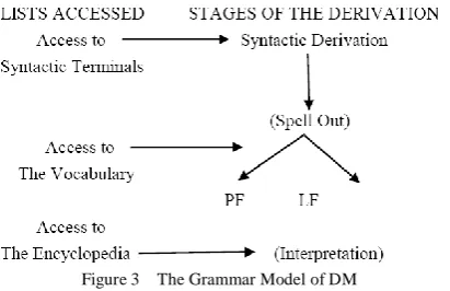 Figure 3  The Grammar Model of DM 