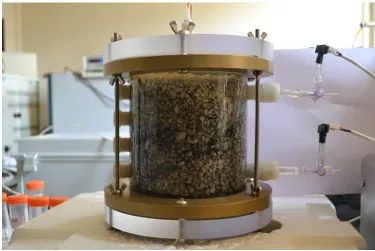 Fig. 1. Black FeS coatings formed in situ on limestone in column experiments. The FeS in the photo 