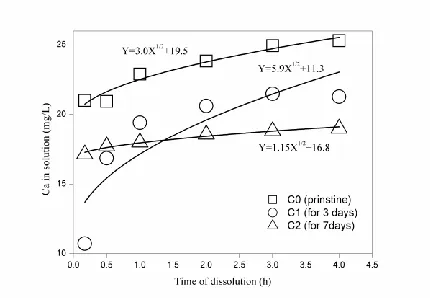 Fig. 9. Calcium release into solution during dissolution of pristine limestone (C0) and biologically 