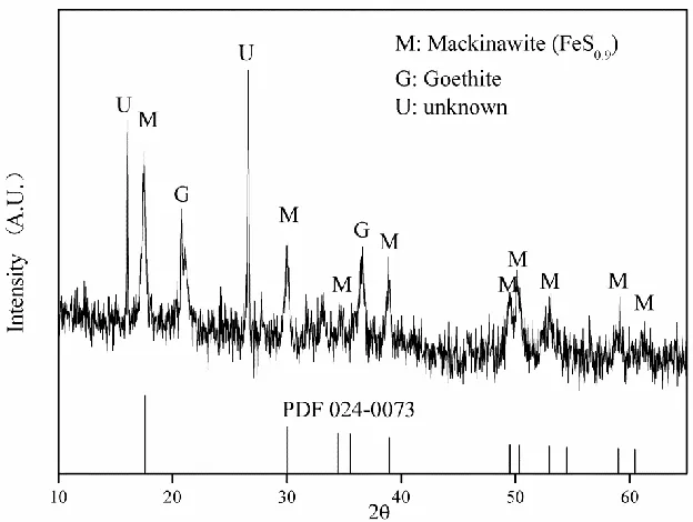 Fig. S3. SEM-EDX of biologically-formed nano-sized FeS precipitates.  