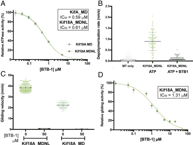 Fig. 4.Inhibition of Kif18A activities by BTB-1.depolymerization by Kif18A_MDNL (at 500 nM).Shown is a scatterplot of all the data, with meanSD indicated by horizontal bars