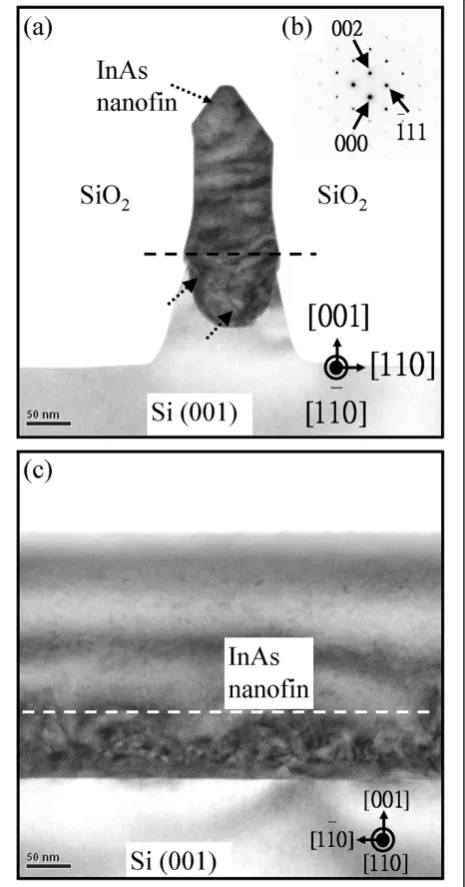 Figure 2a. The 11��