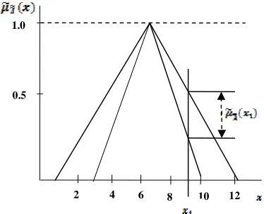 Figure 1: Membership grade of a type-2 fuzzy set 
