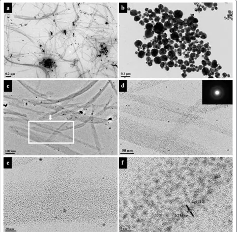 Figure 10 TEM images of silver nanoparticles. Obtained in (a) wet systems; (b) dry system with 50 mg of AgNO3 at 90°C for 1 day