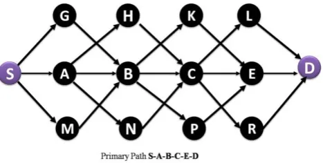 Fig 7.1 Node-Disjoint Paths 