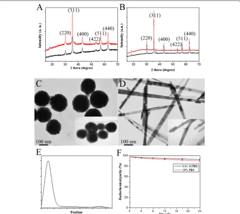 Fig. 2 Characteristics of BSA-modified MNPs. XRD spectrum of Fe3O4 and SiO2@Fe3O4 (the red lines) for spherical MNPs (a) and rod-like MNPs (b).TEM of MNPs for spherical MNPs (c) and rod-like MNPs (d) with TEM of SiO2-coated MNPs on the lower right corner