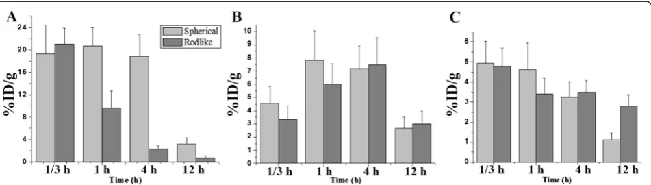 Fig. 4 Uptake efficiency and expelling rate of BSA-conjugated MNPs by RES-related organs