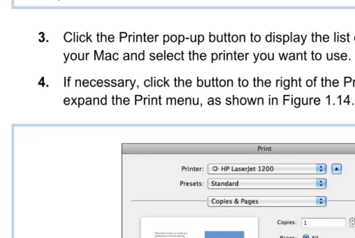 Figure 1.13 This Print dialog box is "collapsed." Figure 1.14 shows the expanded  