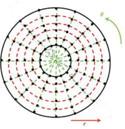Fig 3.2 Daughman Rubber Sheet Model 