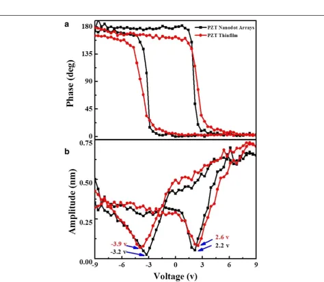 Fig. 3 Piezoresponse images for the polarization reversal process in the nanodot arrays.cross-sectional height data along the scanned a Topological, in which the blue line represents the AFM red line