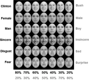Fig. 1. Video stimuli presented a single facial image drawn from morph continua, either upright or inverted