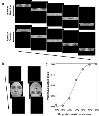 Fig. 2. (a) In the aperture condition, a viewing window moved steadily over the image, taking 6 s to move from top to bottom