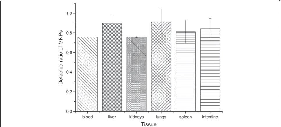 Figure 5 Endogenous iron in different mouse tissues. Iron concentrations in mouse blood, liver, kidney, lung, spleen, and intestine weremeasured